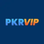 PKRvip Game logo