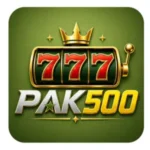 PAK500 Game APK